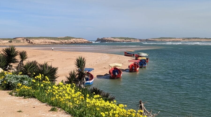 Cette ville côtière du Maroc abrite des salins extraordinaires, des plages préservées et de magnifiques floraisons