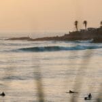 Coucher de soleil sur un océan calme avec des surfeurs dans l'eau et des palmiers bordant le rivage lointain, rappelant le surf au Maroc. Les vagues roulent doucement vers la plage.