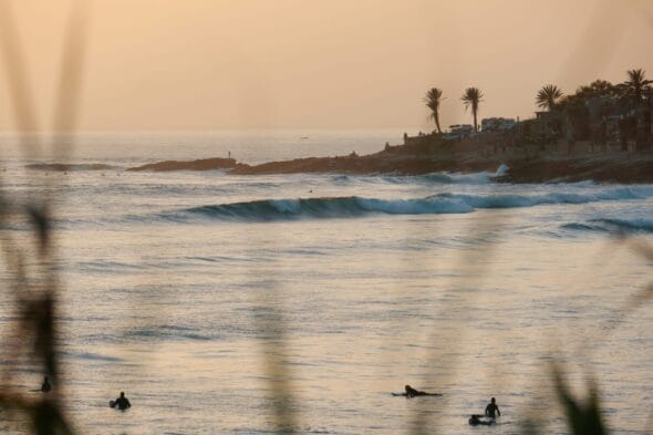 Coucher de soleil sur un océan calme avec des surfeurs dans l'eau et des palmiers bordant le rivage lointain, rappelant le surf au Maroc. Les vagues roulent doucement vers la plage.