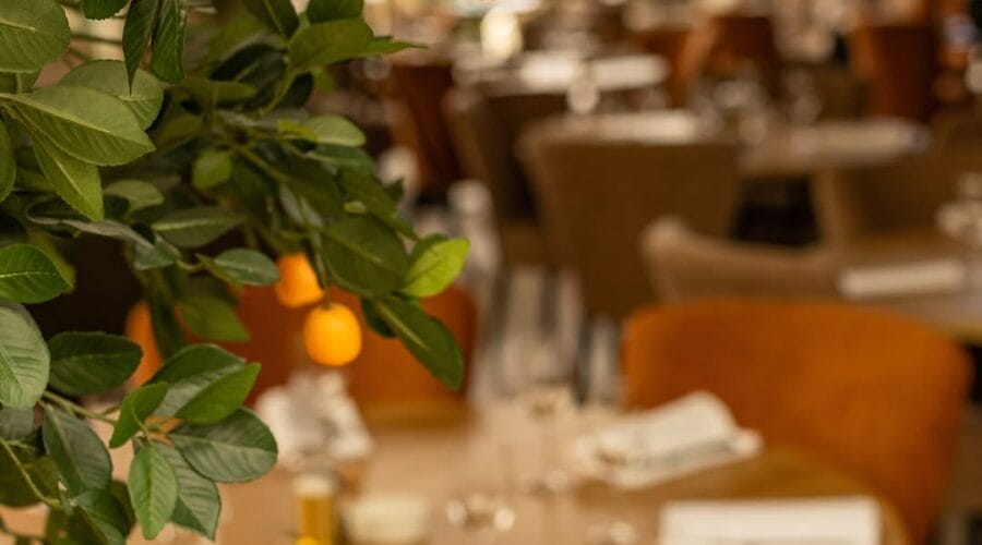 Découvrez les nouveaux restaurants passionnants de Casablanca